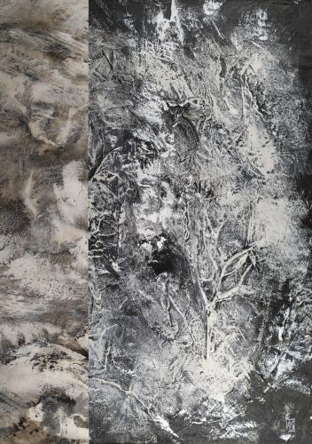 Paysage monts forêts